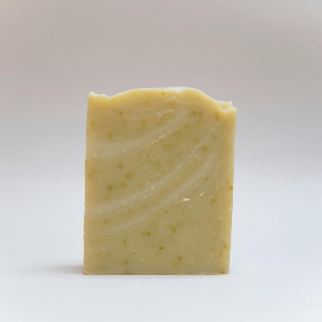 Earth Elements - Wholesale Bar Soap - Soap Bar Zucchini - Made With Vegetable Waste4