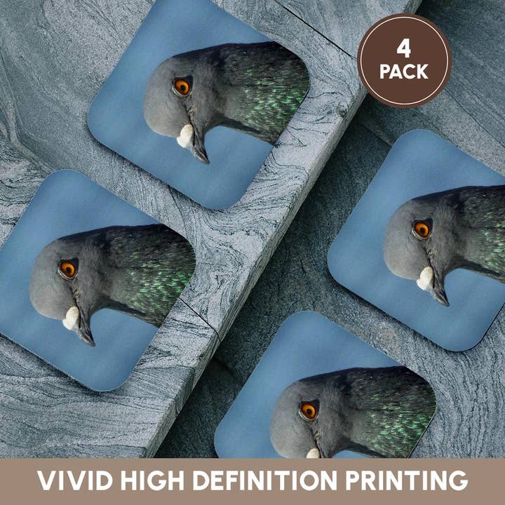 3dRose - Wholesale Coasters - 3dRose, Close up photograph of a pigeon with bright orange colored eyes, Coaster12