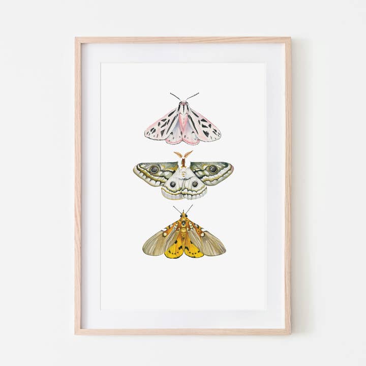 Impresión artística Moth Trio para venta al por mayor de Broken Paddle Studio