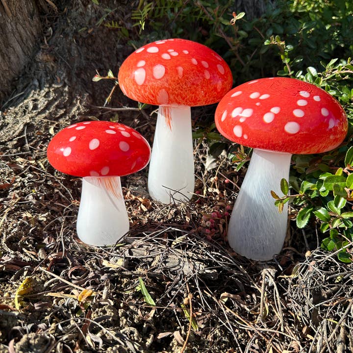 ApricotMint - Wholesale Garden Gnome - 8" Art Glass White button Mushroom (Copy) (Copy)1