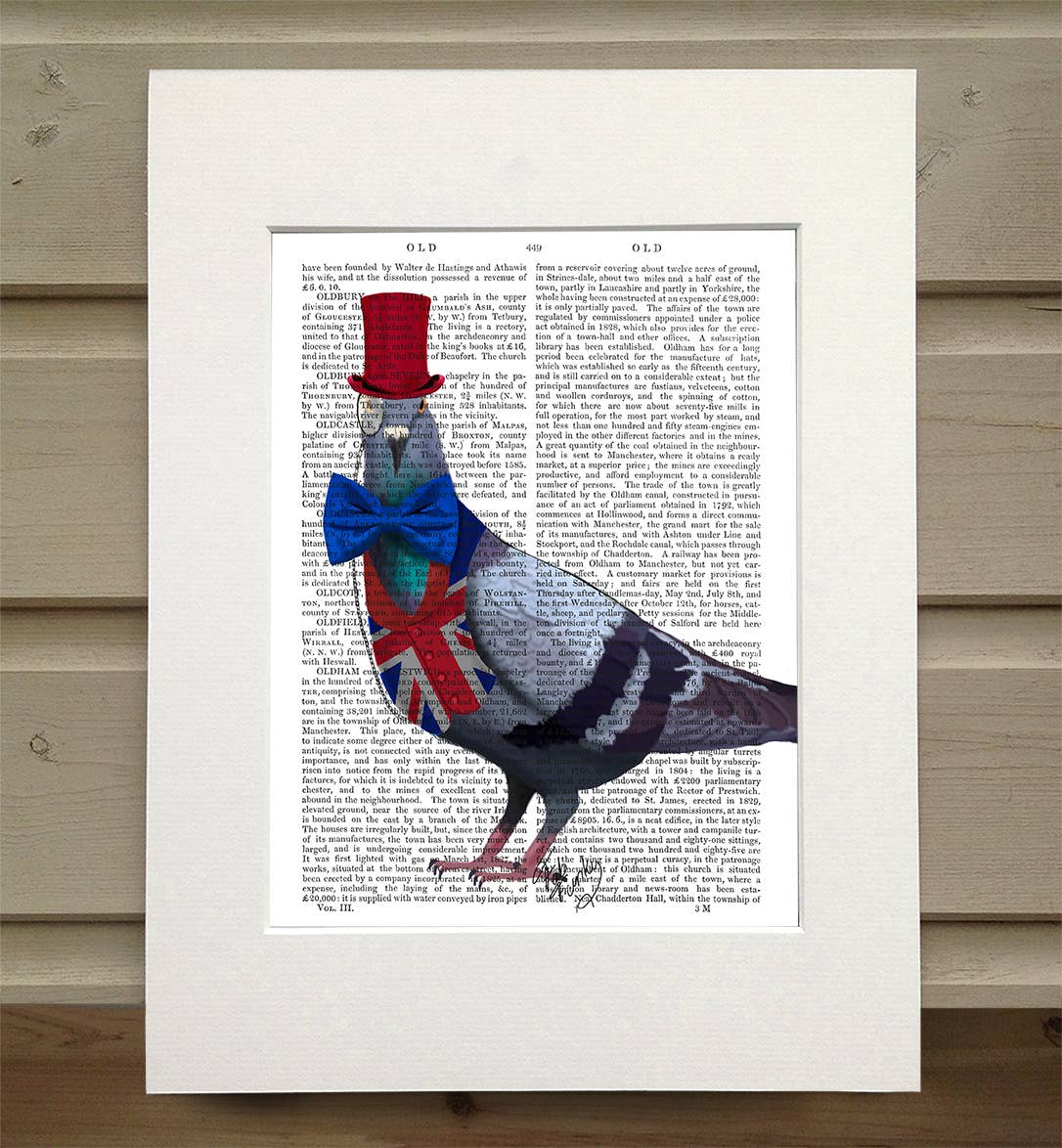 FabFunky Ltd - Wholesale Art Print - London Pigeon, Bird Book Print / Art Print / Wall Art0
