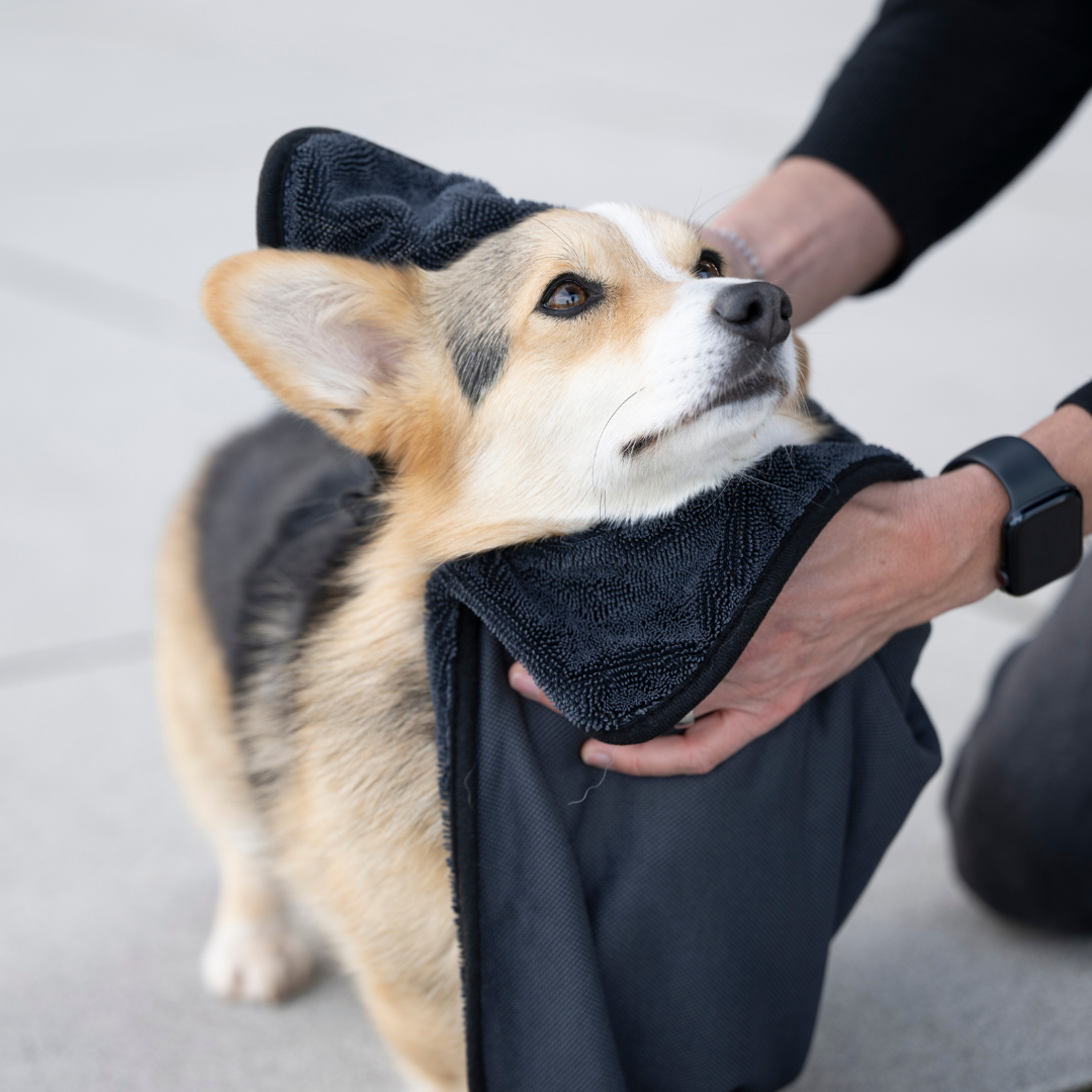 antracite Toalha para Cães Super Flor Turbo Dry Anthracite para venda a revendedores na Faire2