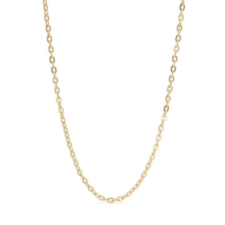 WJW - Wholesale Link & Chain Necklace - 18K Gold PVD Stainless Steel Flat Oval Loop Chain5