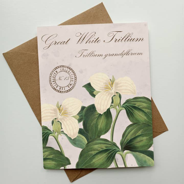Great White Trillium Vintage Botanical Specimen Notecard for wholesale by Fable & Fen, LLC