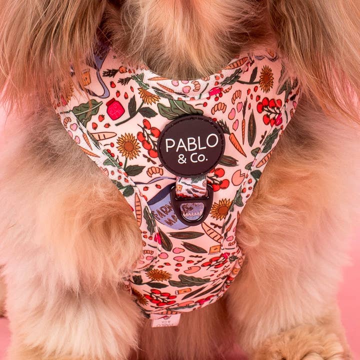 Mercato Agricolo: Imbracatura Regolabile per la vendita all'ingrosso da parte di Pablo & Co. Boutique