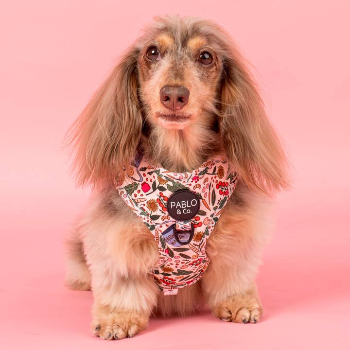 Farmers Market: Adjustable Harness for wholesale by Pablo & Co. Boutique