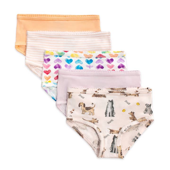 Girls Set of 5 Puppy Party & Rainbow Hearts Underwear for wholesale by Burt's Bees Baby