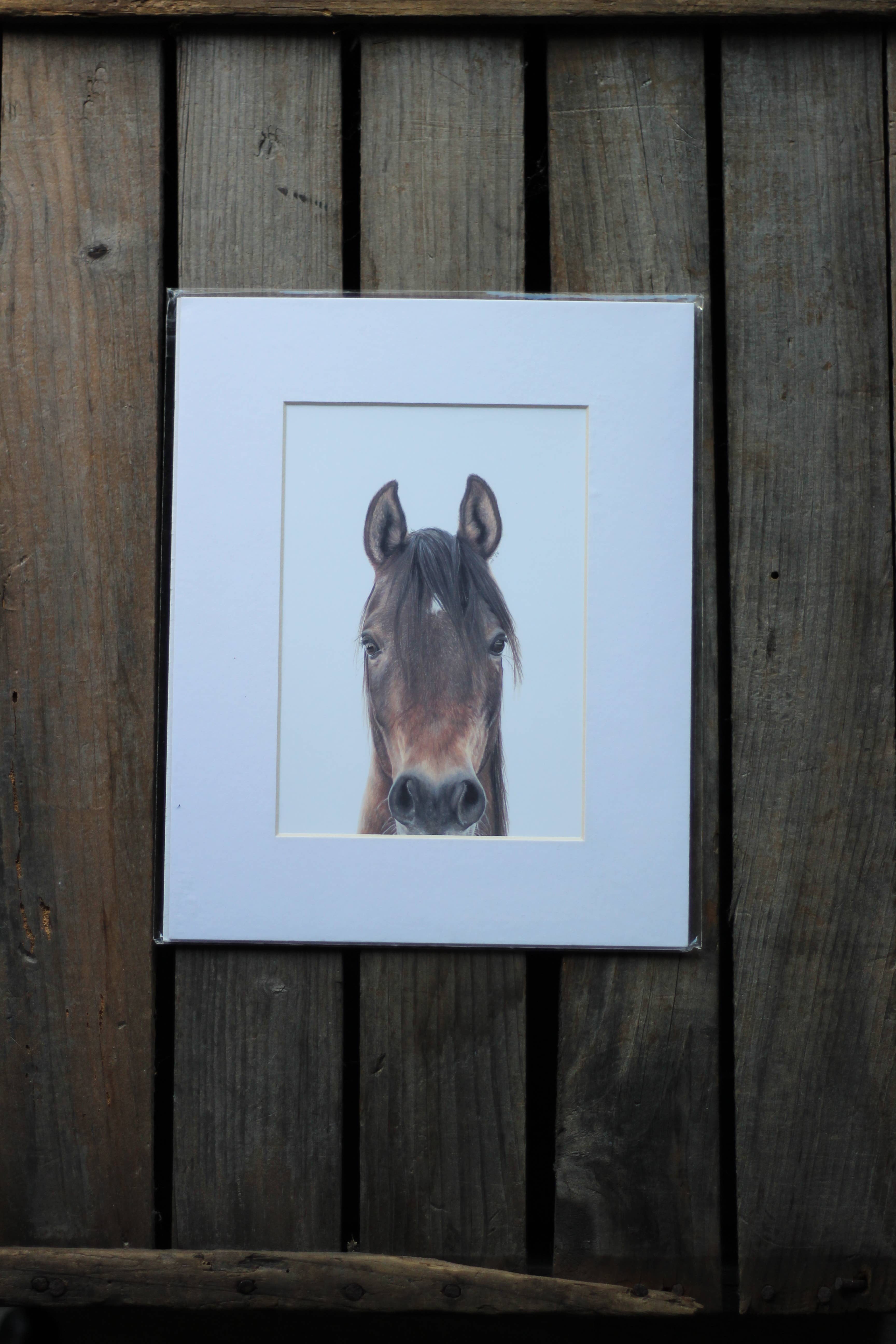 stück in the studio - Wholesale Art Print - horse - print