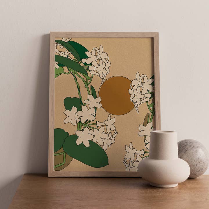 Stephanotis for wholesale by Prowlanu