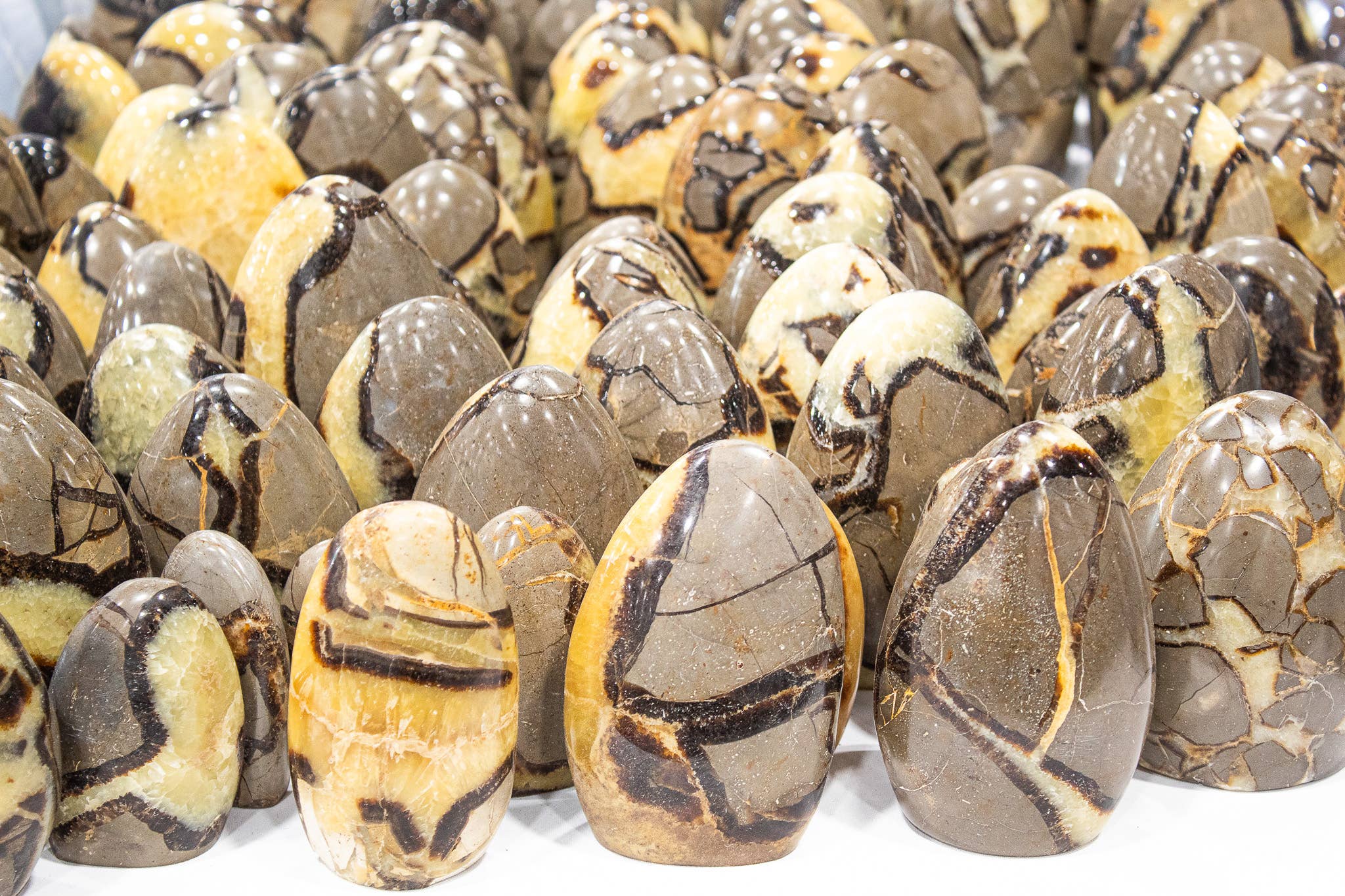 Quasar Gems USA - Vente Pierre et cristal de spiritualité - Formulaires libres septaires1