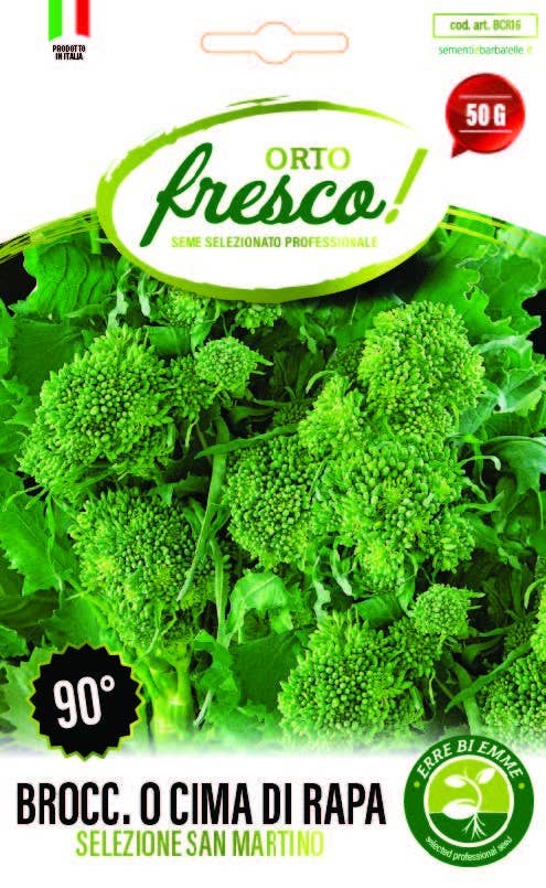 Sementi & Barbatelle - Wholesale Plant Seeds - Broccoli or Turnip Tops Sel. San Martino 90°0