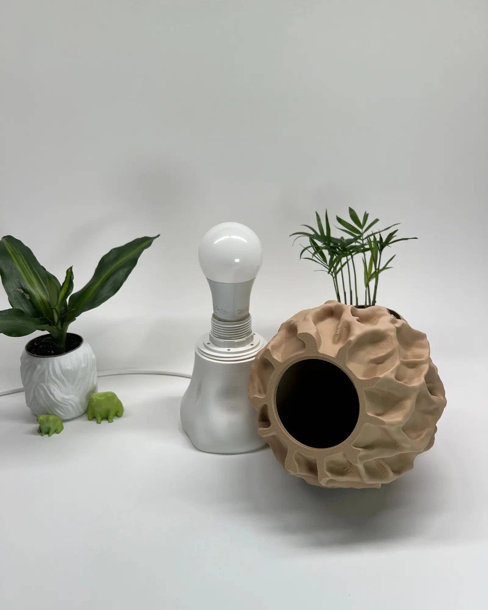 Roomberry - Wholesale Accent/Desk Lamp - Morel Mushroom Lamp - natural mushroom design, soft evening light1