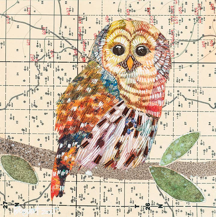 Brenda Bogart – Engroshandel Kunsttryk – Akryl indrammet spærret ugle 1 Print2