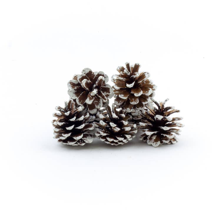 Winter Woods - Wholesale Decorative Tabletop Object - Ponderosa Pine Cones3