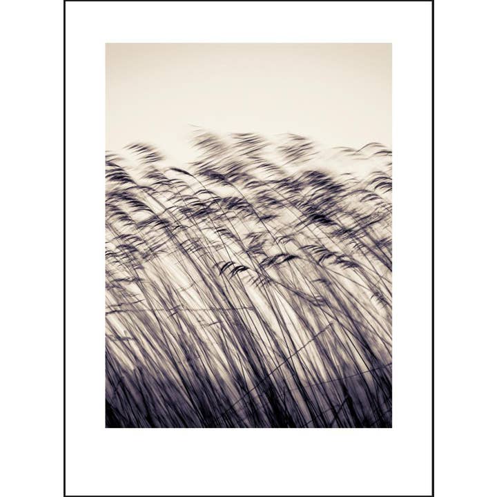 Grama Polaroid por atacado de GM decoratie