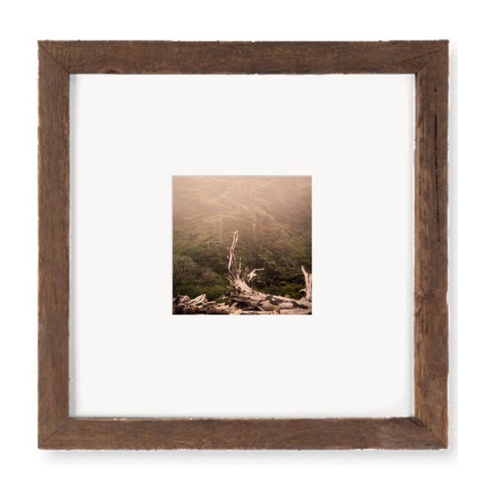 To the Land 2 Rialto Beach Analogs — 10x10Framed Print for wholesale by The Studio