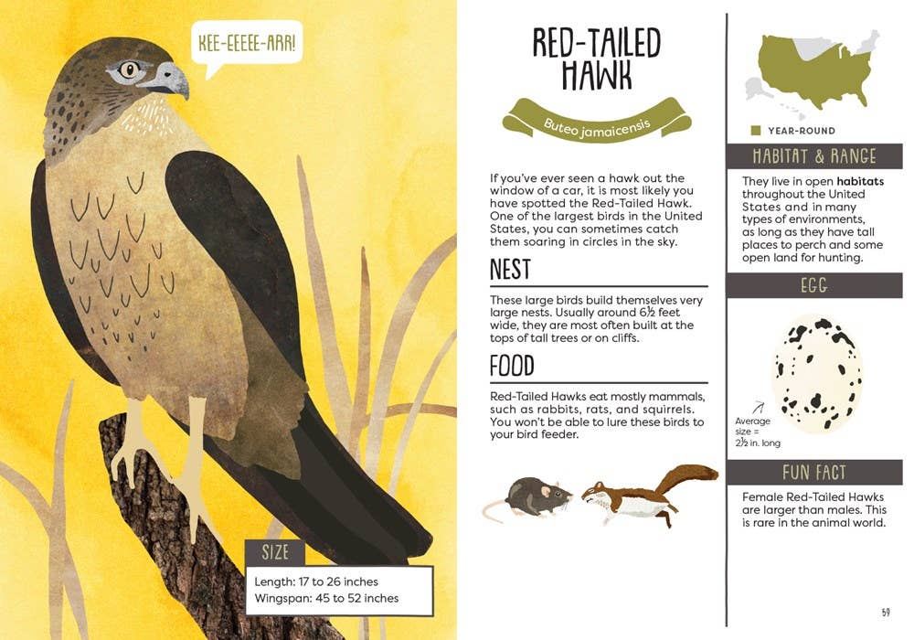 Gibbs Smith - Wholesale Nature & Outdoors Book - Kid’s Guide to Backyard Birds3