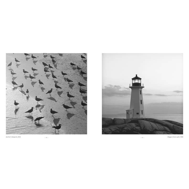 Schiffer Publishing - Wholesale Display Book - East Coast Atlantic Beaches3