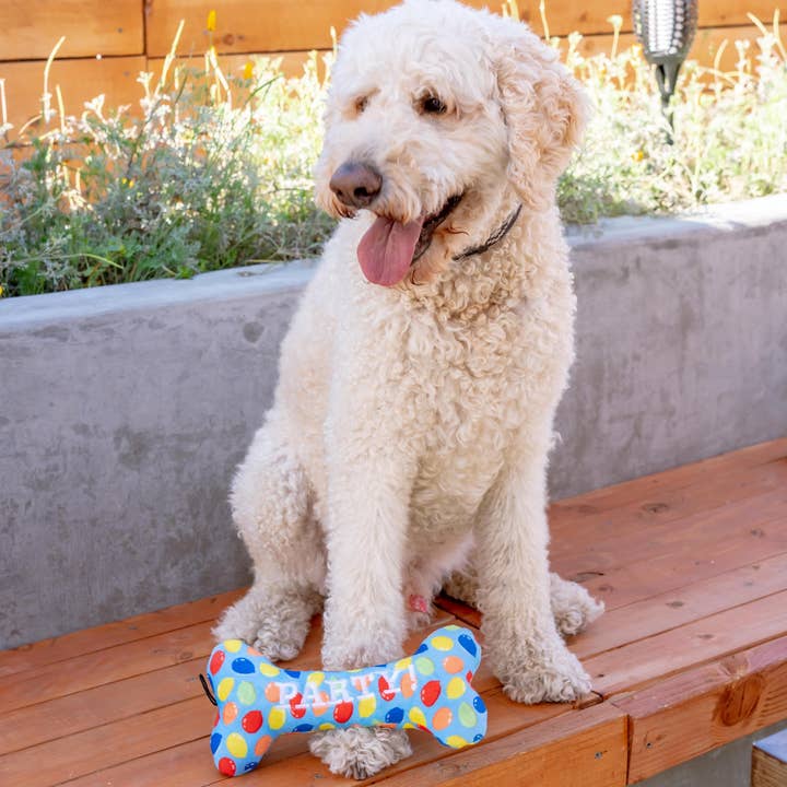 Huxley & Kent - Wholesale Pet Plush Toy - Dog - Party Time Bone Blue Dog Toy