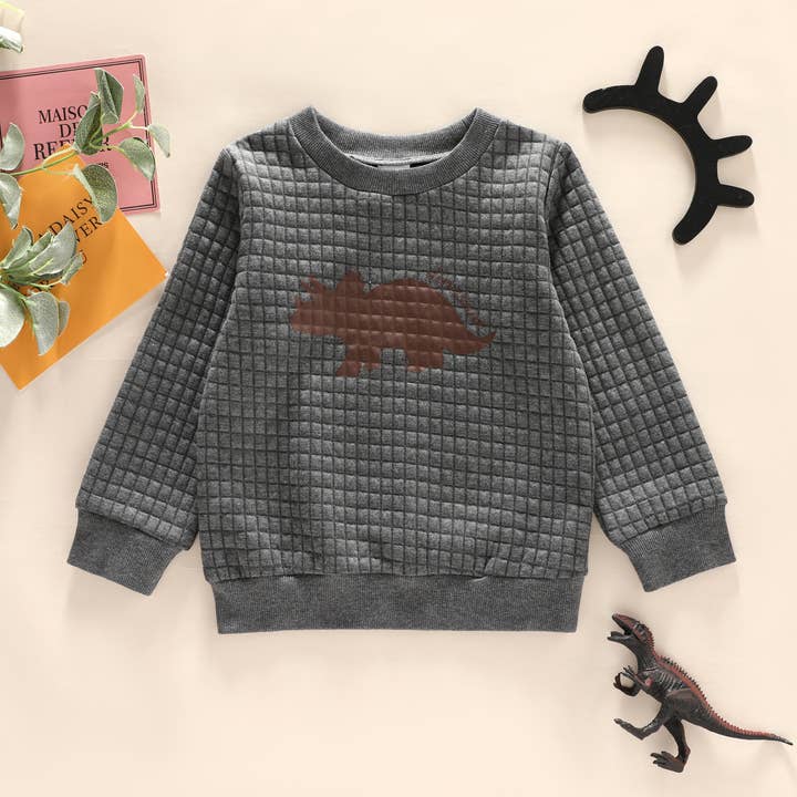 PatPat - Wholesale Sweatshirt - Kids - Toddler Boy Dinosaur Textured Pullover Sweatshirt