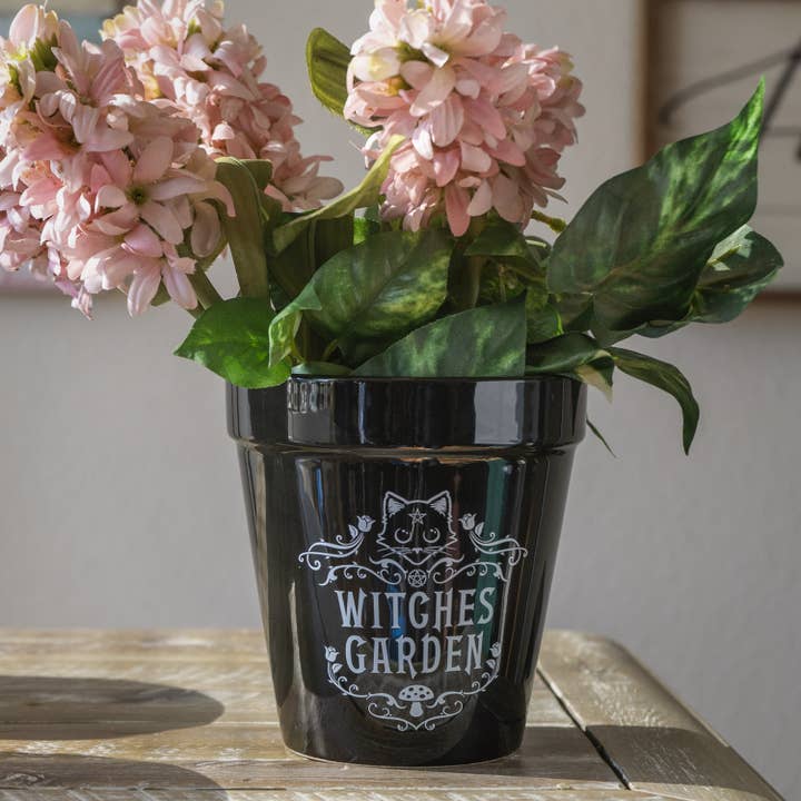 Pacific Trading - Wholesale Plant Pot - 15217 Witches Garden Planter Halloween Decor