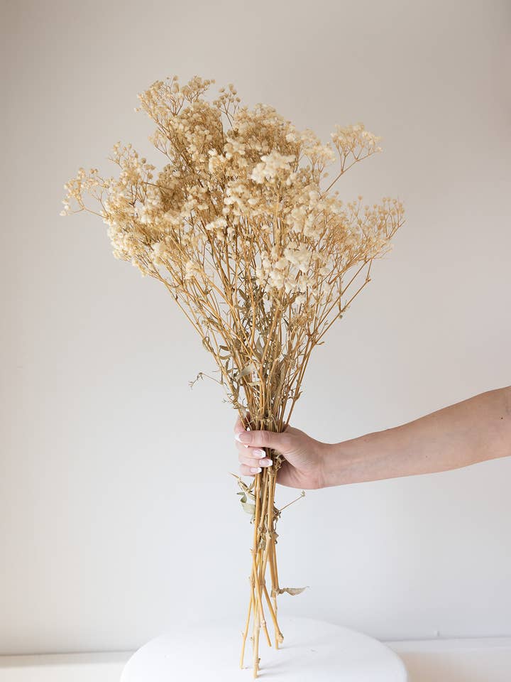 Respiration naturelle et préservée pour bébé pour la vente par By Two Fields