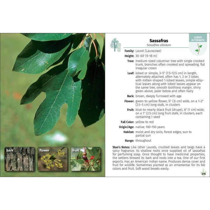 AdventureKEEN - Wholesale Nature Guide - Trees of the Carolinas Field Guide 2e