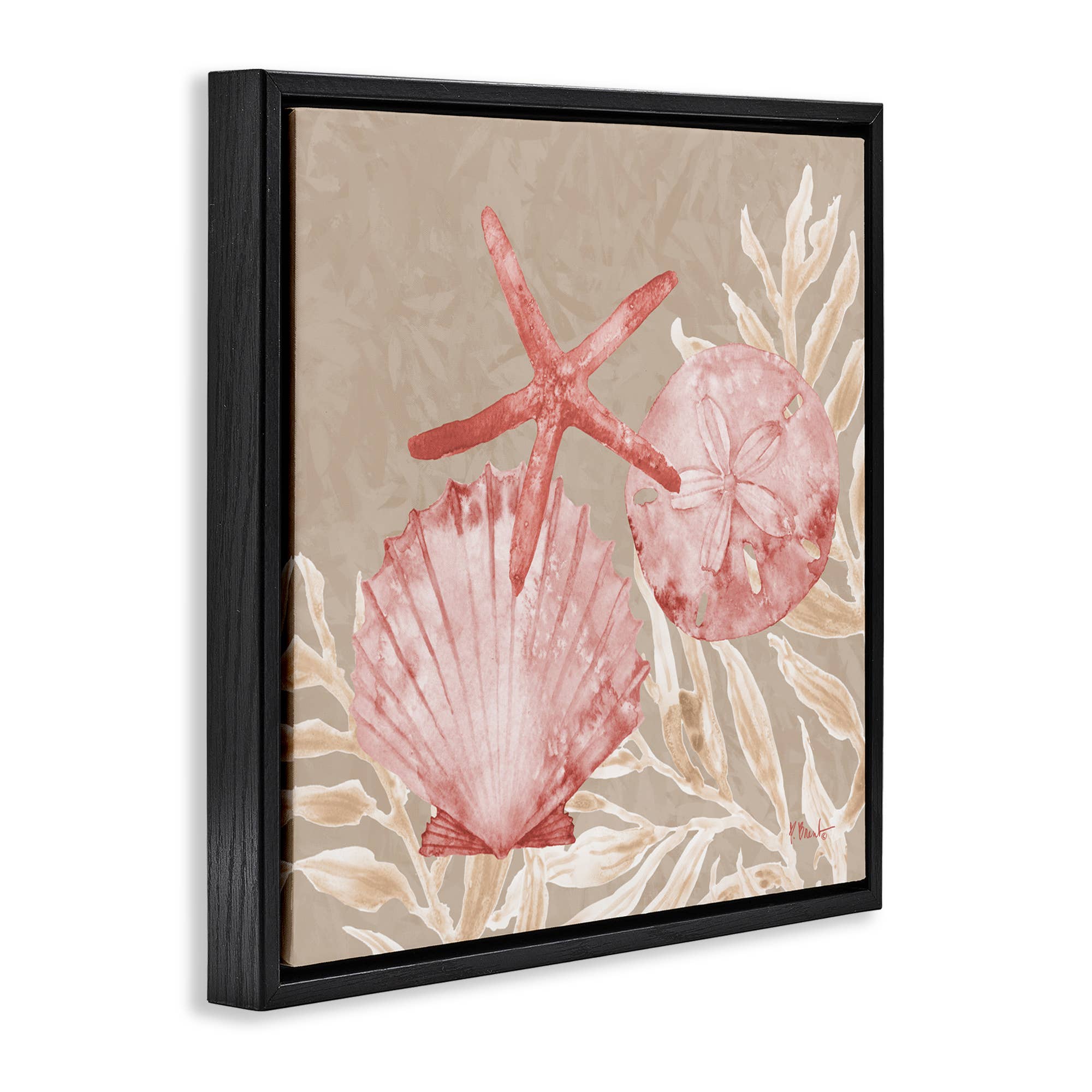 Stupell Industries - Vendita all'ingrosso Cartello da parete - Conchiglie di Tampico e Stelle Marine - Arte da Parete Incorniciata19