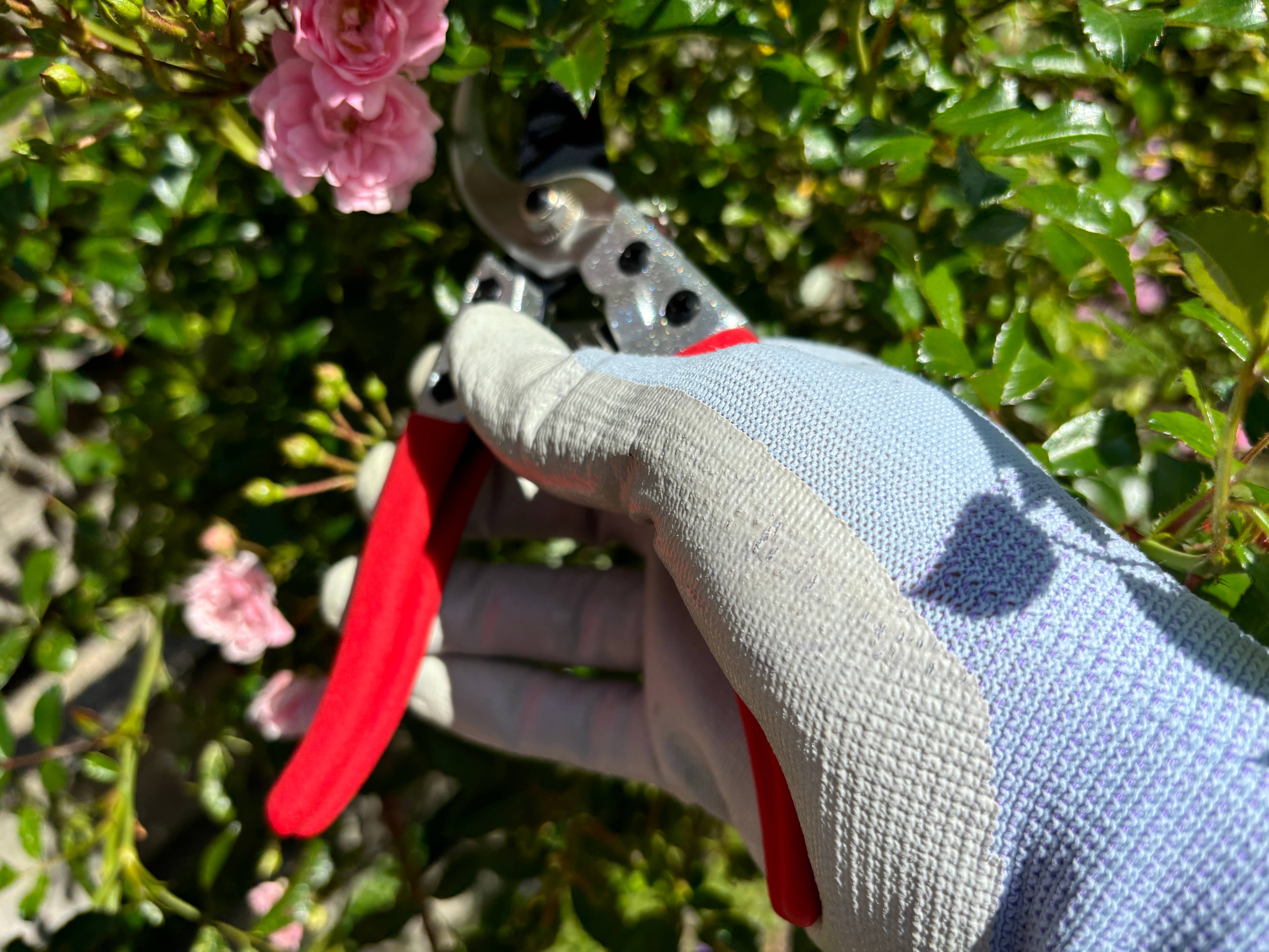 Gärtnertraum – wholesale Trädgårdsverktyg – Grensax - Sekatör15