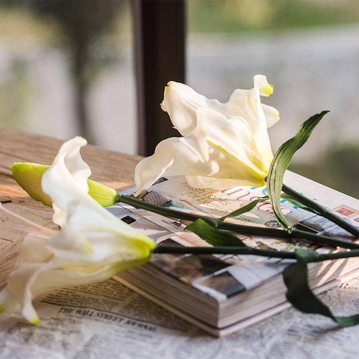 Rustic Reach - Wholesale Artificial Flowers - Artificial Flower Real Touch Lily Stem in White 34" Tall4