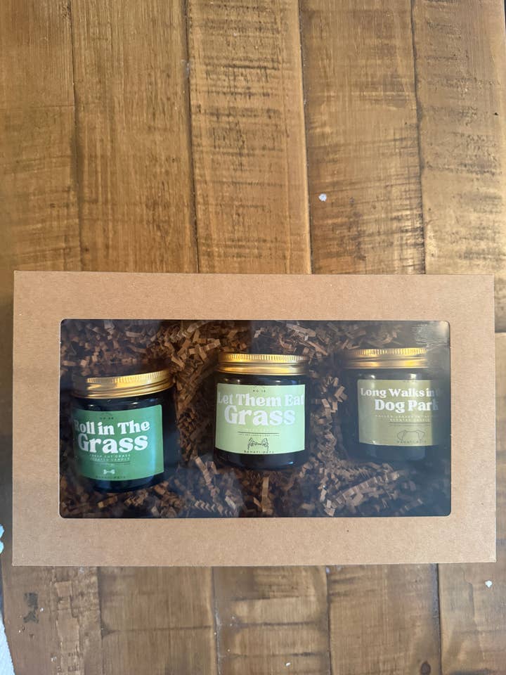 Trio de velas de cera de soja "Diversão no parque para cães" por atacado de Bahati Pets