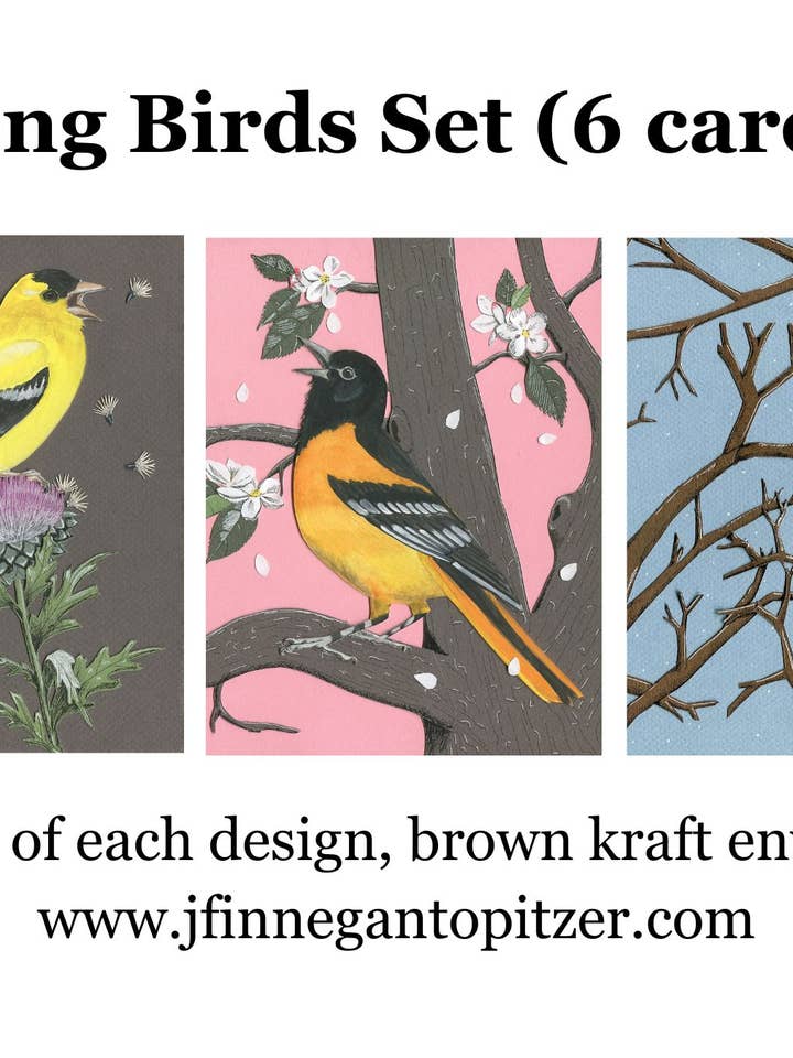 Zangvogels Set (6 kaarten) voor wholesale door Johanna Finnegan-Topitzer