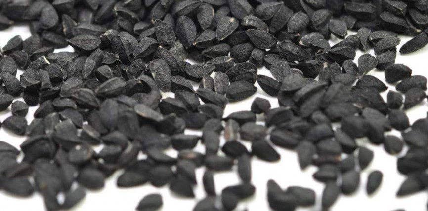 Cibobenessere - Vendita all'ingrosso Erbe aromatiche - NIGELLA SATIVA2