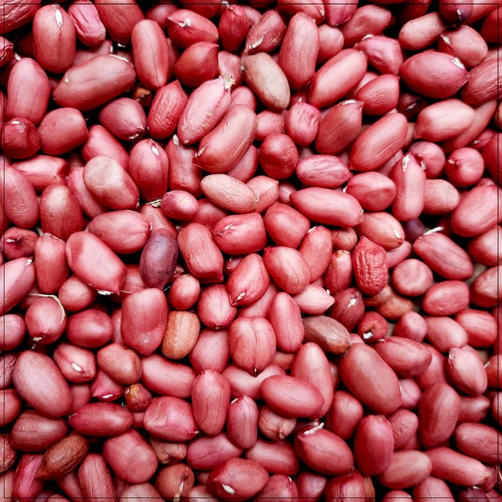 Red Skin Raw Peanuts for wholesale by Alive Herbals