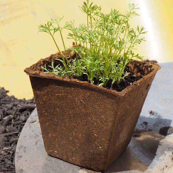 JARDIN Y NATURA OUTDOOR & GARDEN PRODUCTS SL - Wholesale Plant pot - Square natural fiber pots 6x6 cm (6u) - NATPOT CS1