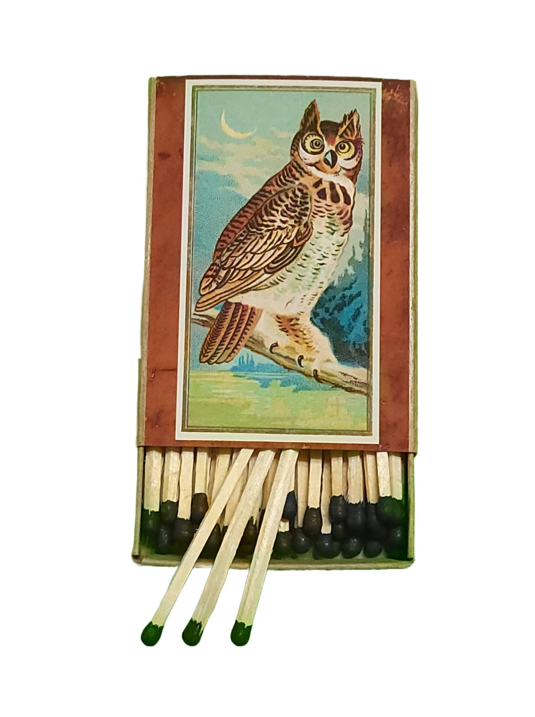 Superior Dry Goods - Wholesale Matches - "Edgar Allan Poe" Handmade Decorator Matchbox Lot2