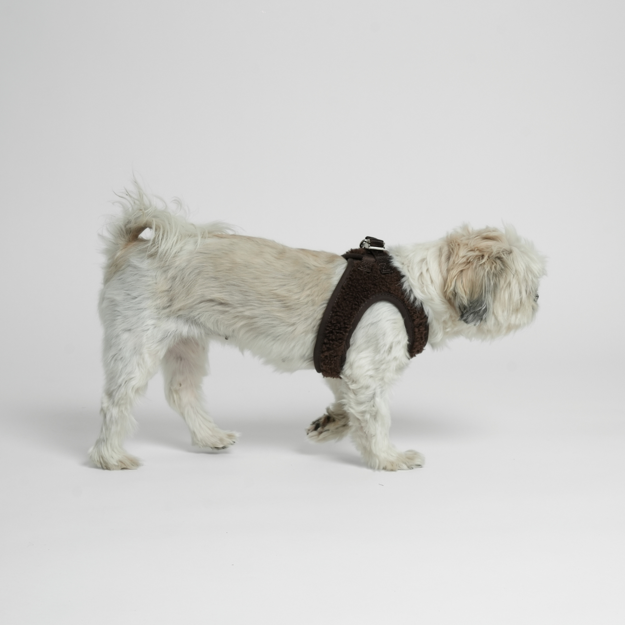 Staey - Wholesale Pet Harness - Dog - Step-In Dog Harness Teddy | Espresso10