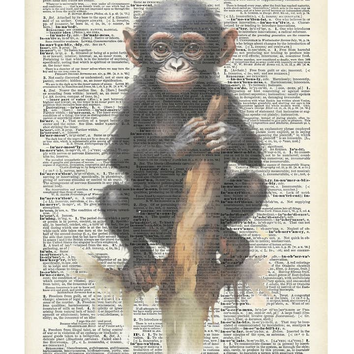 Crazilyhumbledesigns - Vendita all'ingrosso Stampa artistica - Simpatica scimmia, animale, vintage, stampe di dizionario