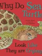 Why do Sea Turtles Look Like They Are Crying? for wholesale by Beaglier Books