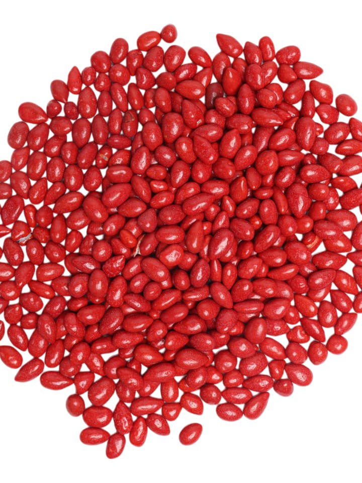 Bulk - Red Sunny Seeds 5 lb. bag for wholesale by Sunflower Food Company