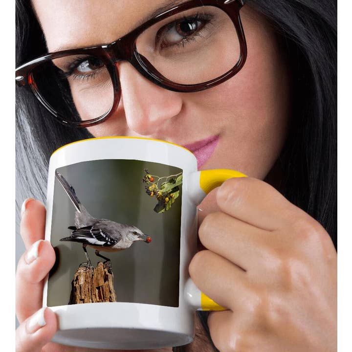 3dRose - Wholesale Coffee Mug - 3dRose, Northern mockingbird with berry., Mug1