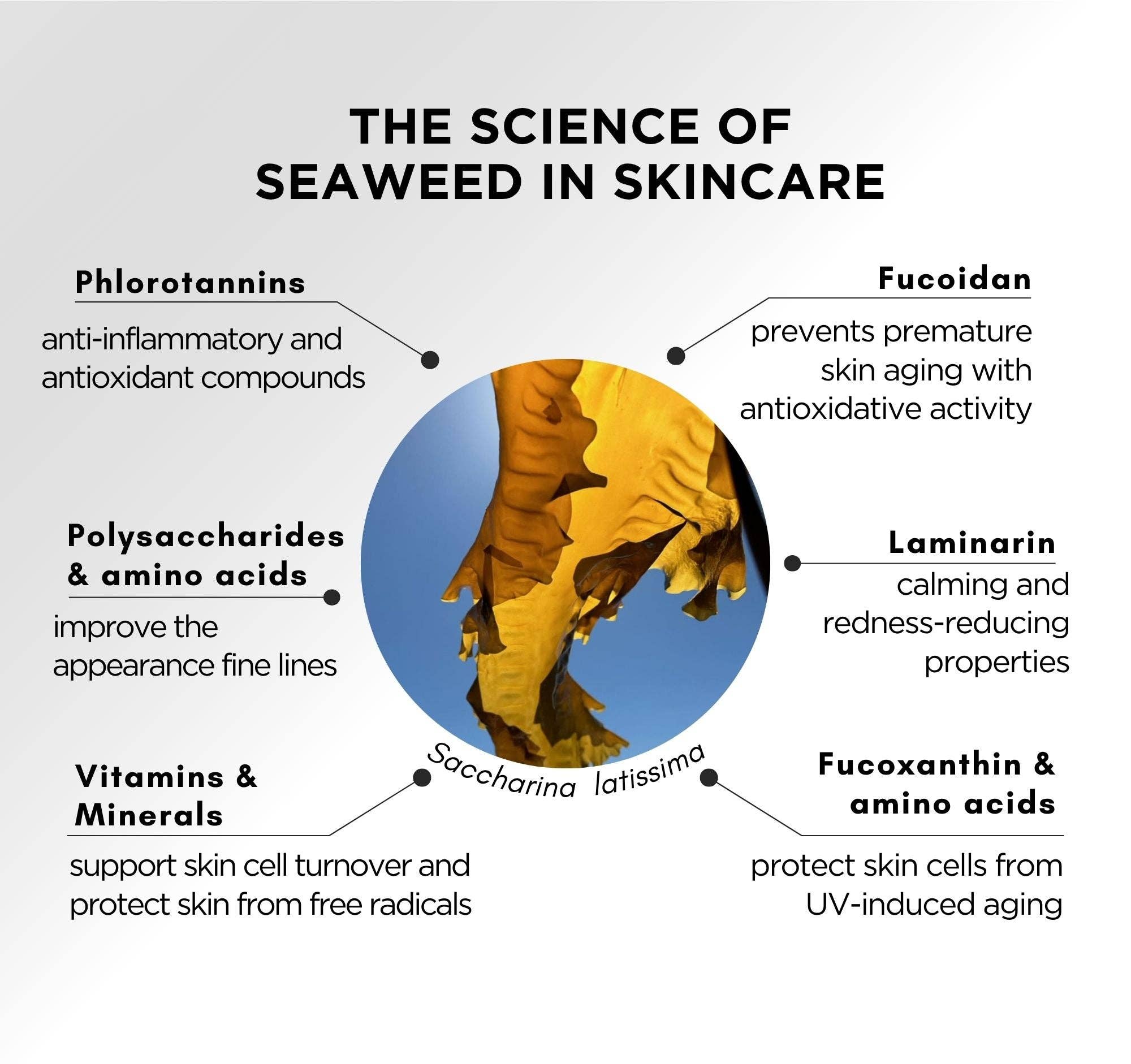 Cold Current Kelp - Wholesale Facial Oil - KelpGlow® Facial Oil (Signature Citrus) - 1 fl oz (30ml)4