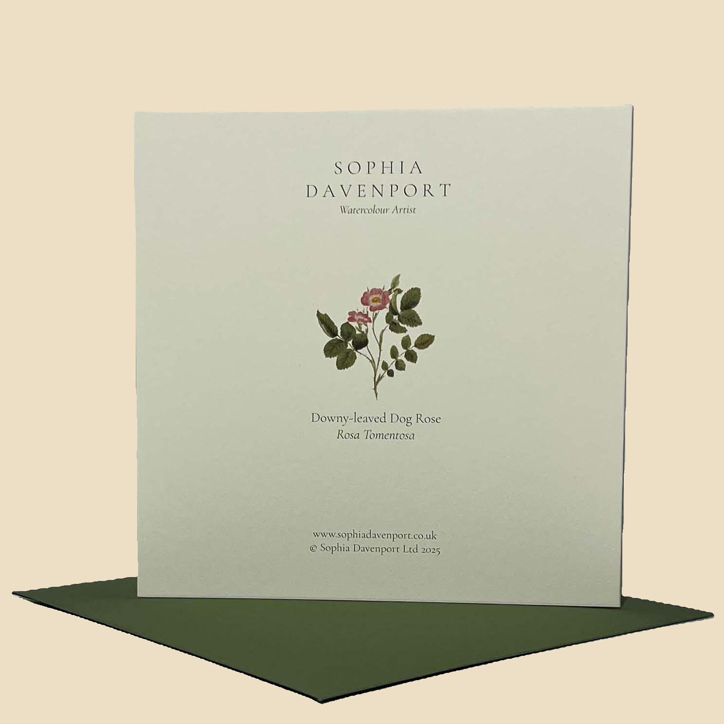 Sophia Davenport - Wholesale Everyday Greeting Card - Wildflower Greeting Cards and Notelets15