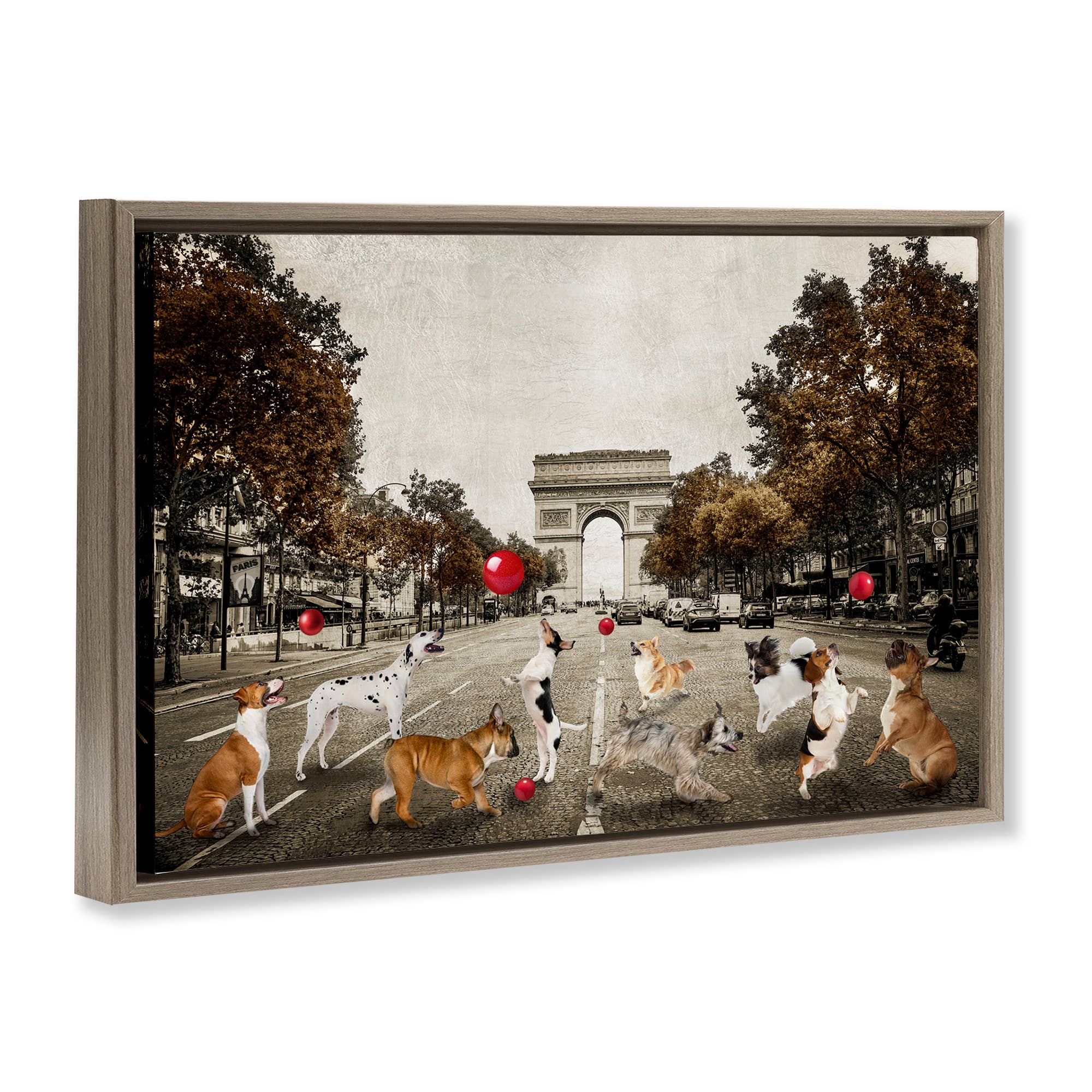 Stupell Industries - Wholesale Wall Sign - Dogs Playing Among Architecture - Framed Wall Art18
