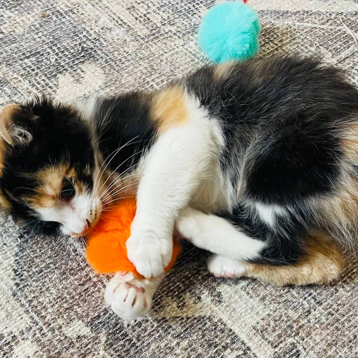 Koira - Wholesale Pet Toy - Cat - Puffy Poof Cat Toy6