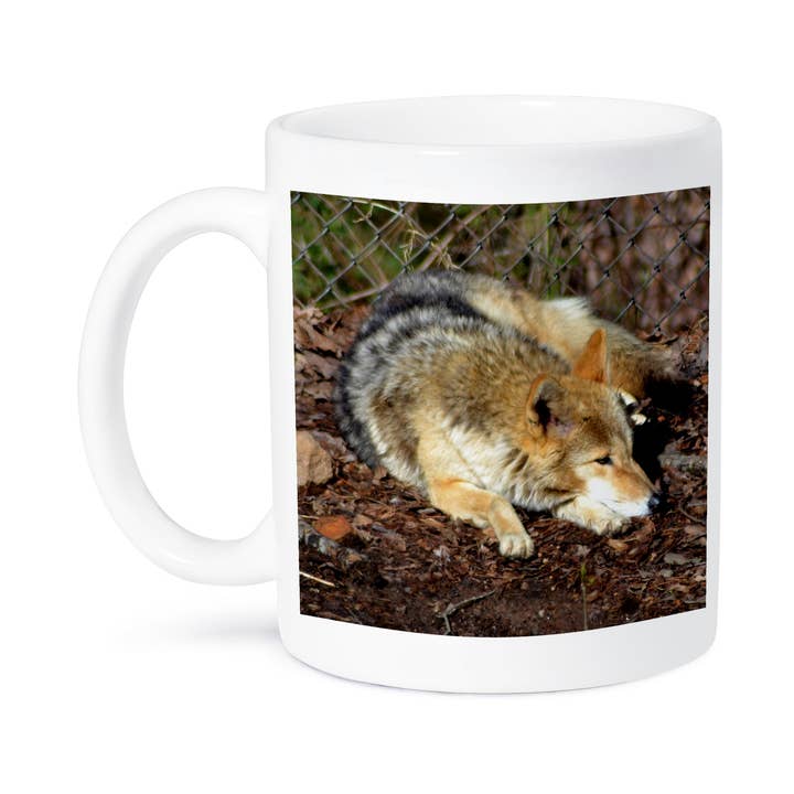 3dRose - Wholesale Koffiemok - 3dRose, Een Coyote Die Rust Een coyote die ligt te rusten, Mok8