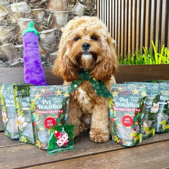 Pet Botanica - Wholesale Pet Treats - Dog - Christmas Dog Treats | Festive Treat Pouches for dogs
1
