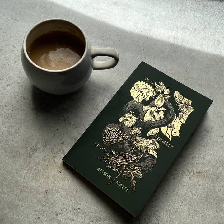 Thought Catalog - Wholesale Book - Adult - It Is All Equally Fragile - poetry book