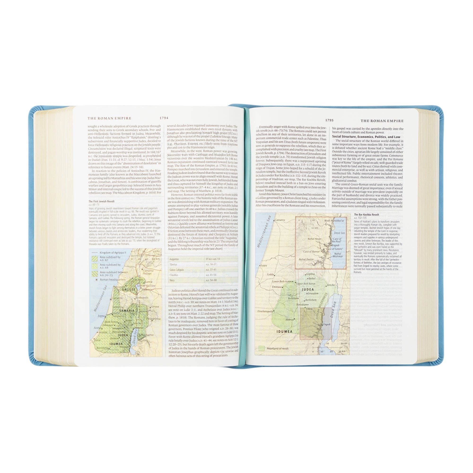Hosanna Revival - Wholesale Display Book - ESV Study Bible: Bethany Theme5