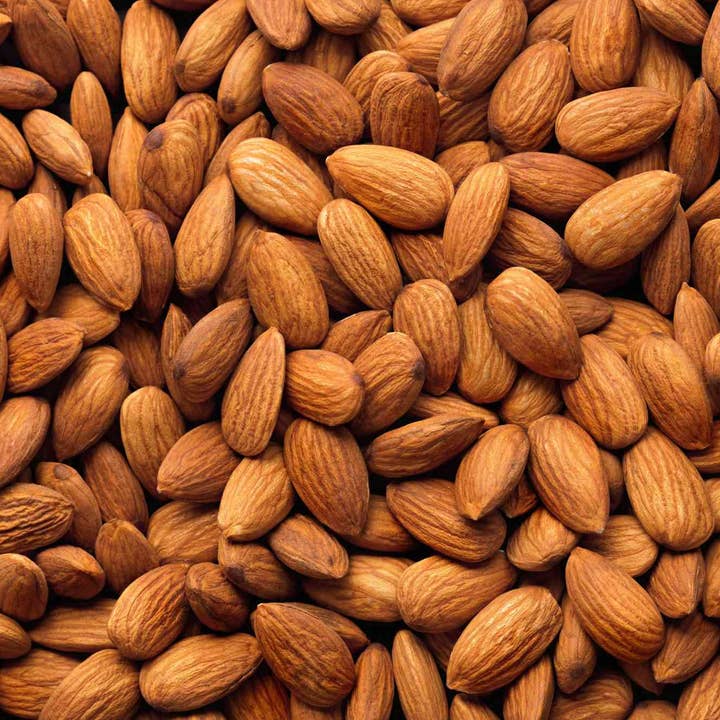 Almond Sprouted Organic 5 lb bulk for wholesale by Lark Ellen Farm